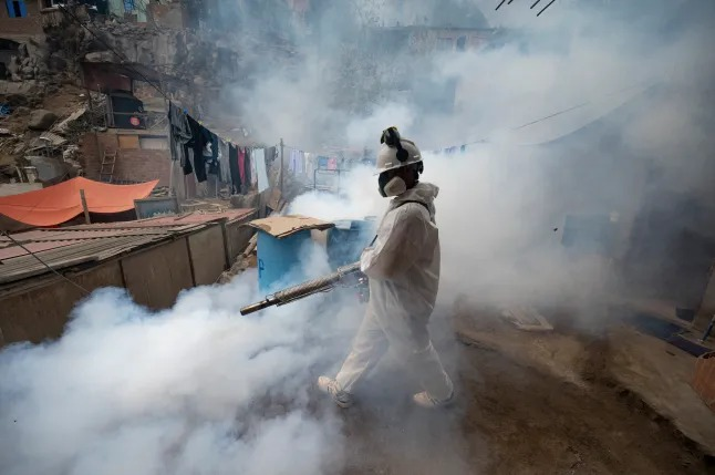 MarioNawfal's tweet photo. 🇺🇸 Google wants to release 32,000,000 infected mosquitoes into California and Florida.

This is exactly how every horror movie starts.

The plan: flood both states with lab-bred mosquitoes carrying Wolbachia bacteria, which stops female mosquitoes from spreading West Nile, dengue, and Zika.

The science is real. The logic is sound. Mosquitoes kill hundreds of thousands of people every year, and Google is betting on bioengineering over bug spray.

Bro, are you guys not seeing all the reports about tics?! What if that shit mutates?

What could go wrong?

Source: Metro UK