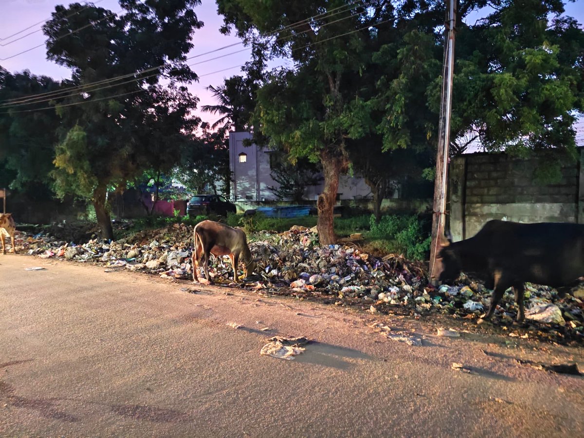 Mappeducitizen's tweet photo. Tambaram Mappedu Junction IAF compound outside Chennai-600126 @UpdatesChennai . Need action @DISTRICTCPT @IproCpt #Tambaram #Agaramthen https://t.co/uemj56JHqa