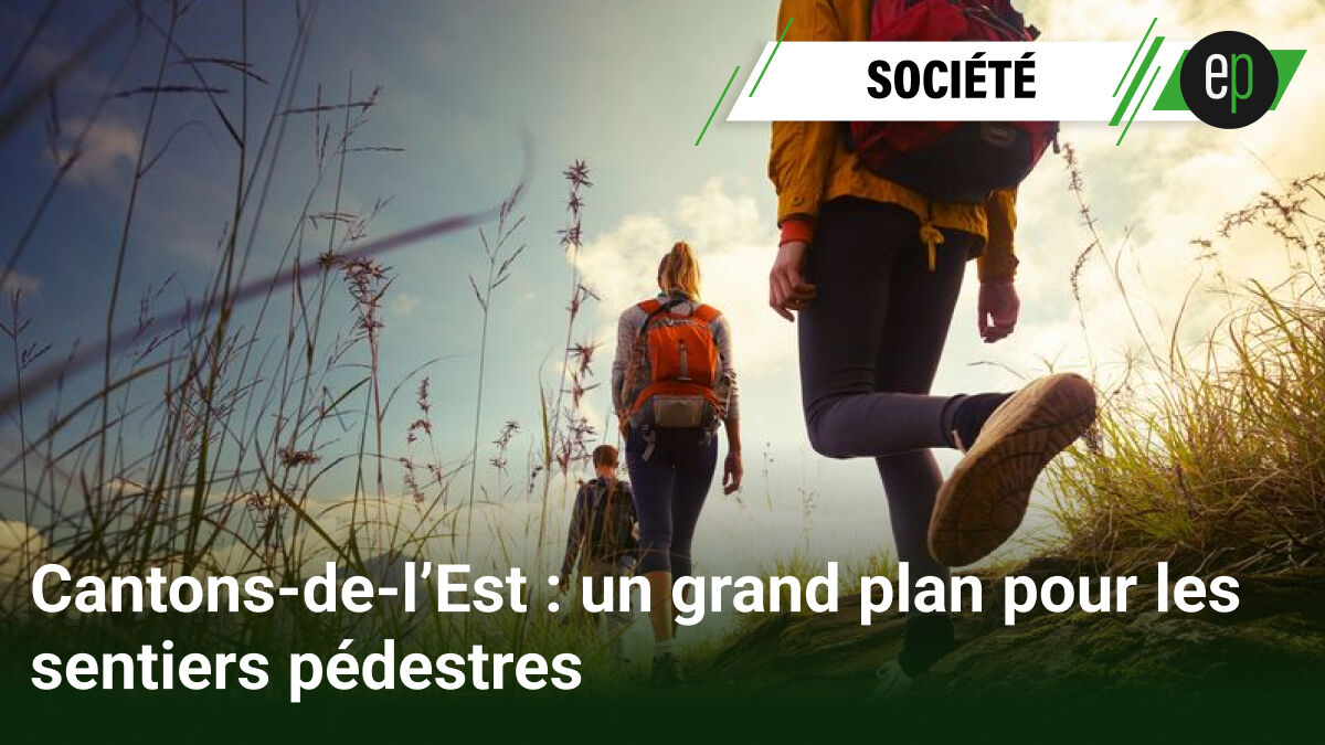 estrieplus_com's tweet photo. 🥾 Les Cantons-de-l'Est lancent leur premier plan directeur de randonnée pédestre — 1 200 km de sentiers à structurer et développer sur 10 ans !

Pour lire la suite de l'article c'est ici : 
 https://t.co/y31Nnh5g6T https://t.co/qc0FCsrOC2