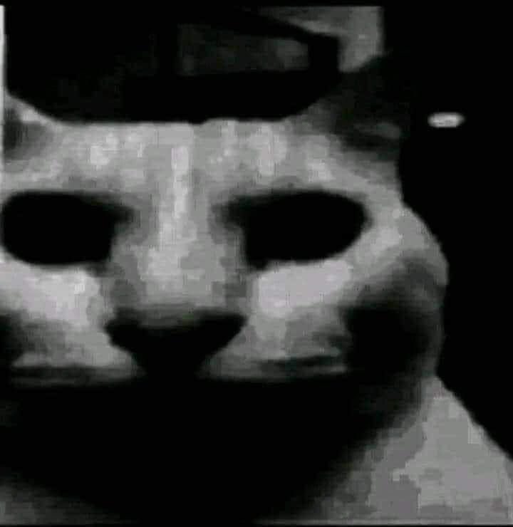 GhostInDaMirror's tweet photo. i rebuke dark divine at all cost https://t.co/78qeRMn6S3