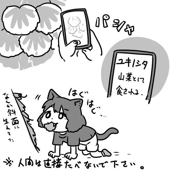 こうなりたい 