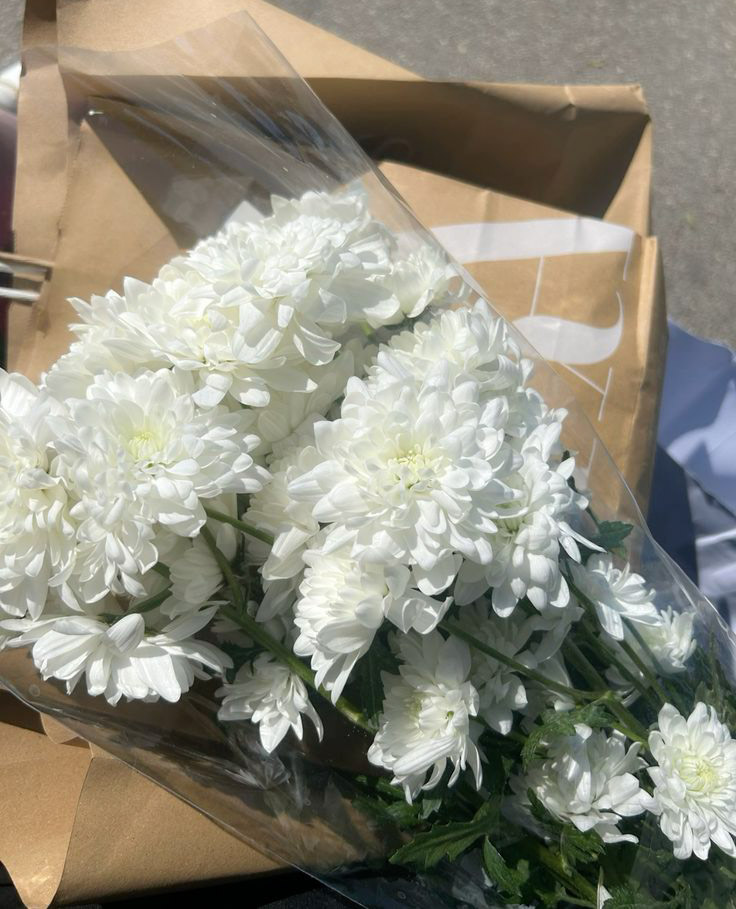 forrest_haus's tweet photo. ㅤ  
Dear @blleau,
a bouquet has arrived for you!
ㅤ https://t.co/dpZc9TqhNW