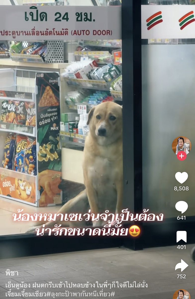 คือผมต้องทราบไหม 🐈‍⬛ tweet media