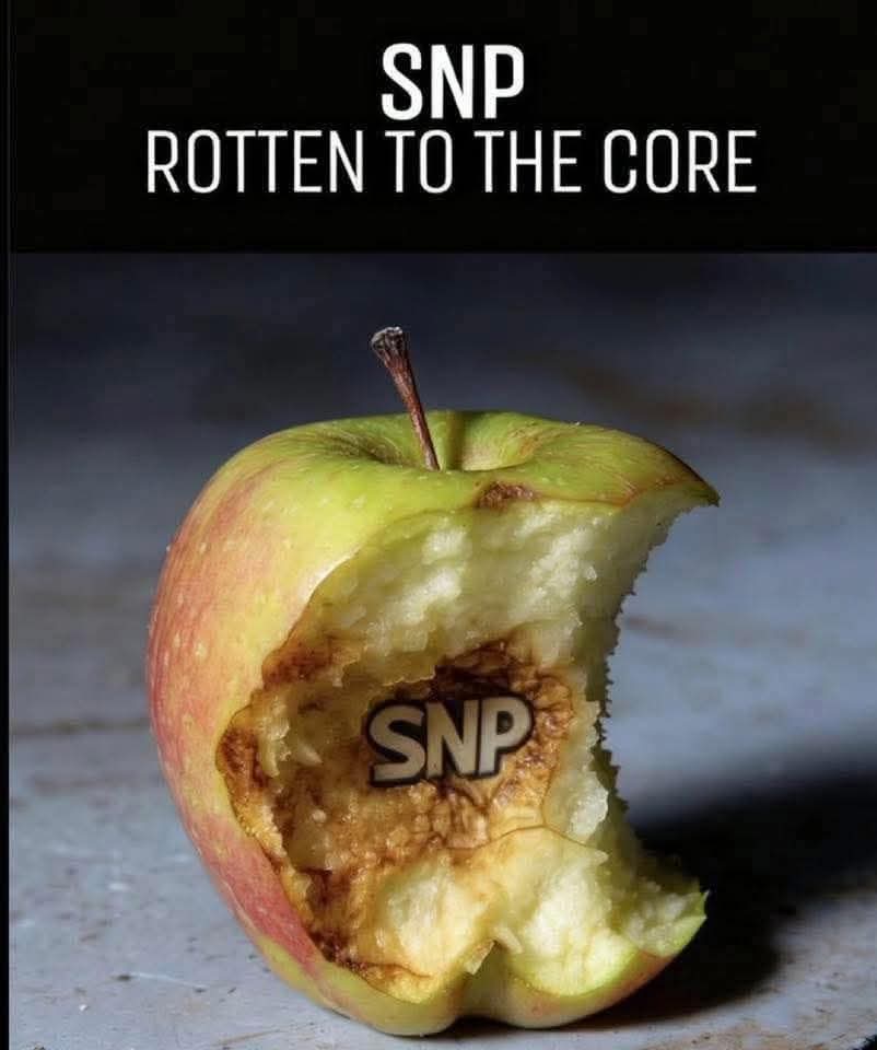 saysomething_79's tweet photo. @JohnSwinney The house of cards tumbling down all around you "Honest" @JohnSwinney - can't wait to see what further revelations of #SNPSleaze and #SNPCriminality come to light this week! https://t.co/Ka8iwCDgqn