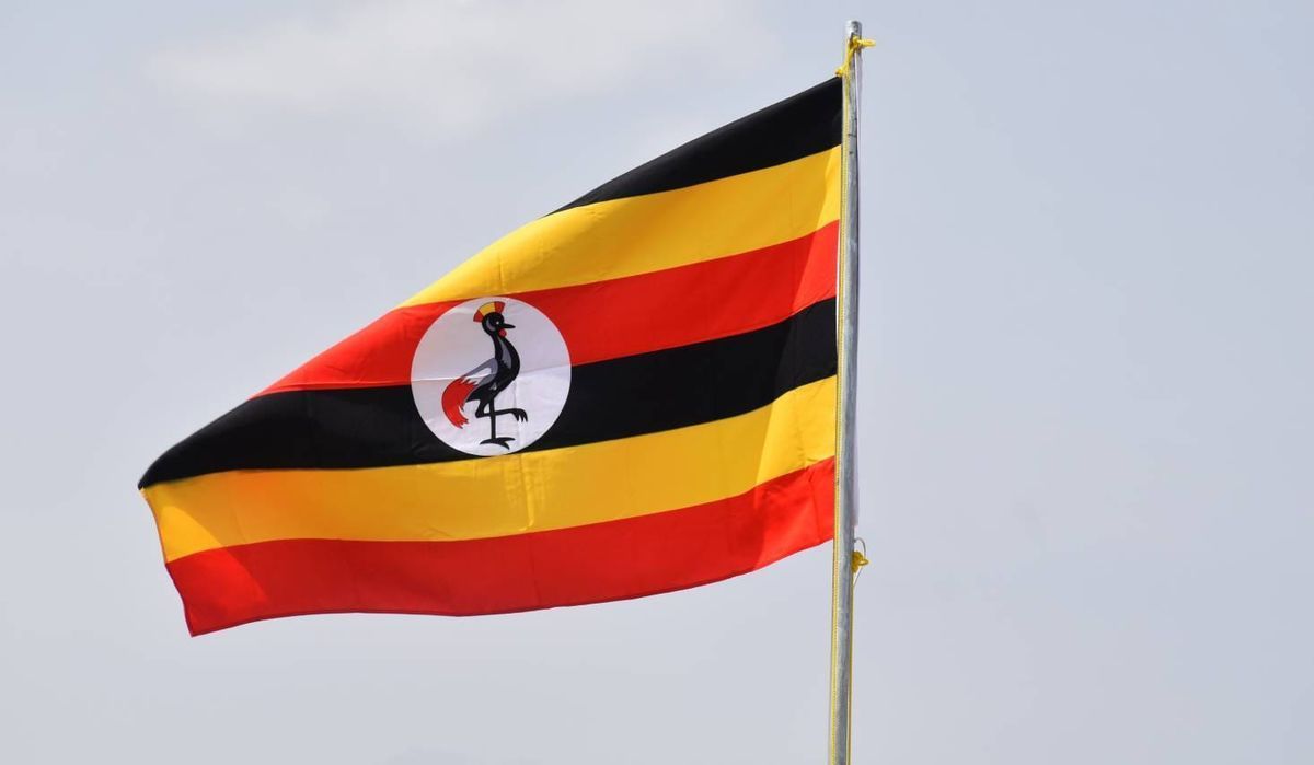 gaytimes's tweet photo. Why Uganda's LGBTQIA+ movement needs money, not admiration 

https://t.co/wVoZw5fKZB https://t.co/ApNe7AbYWH