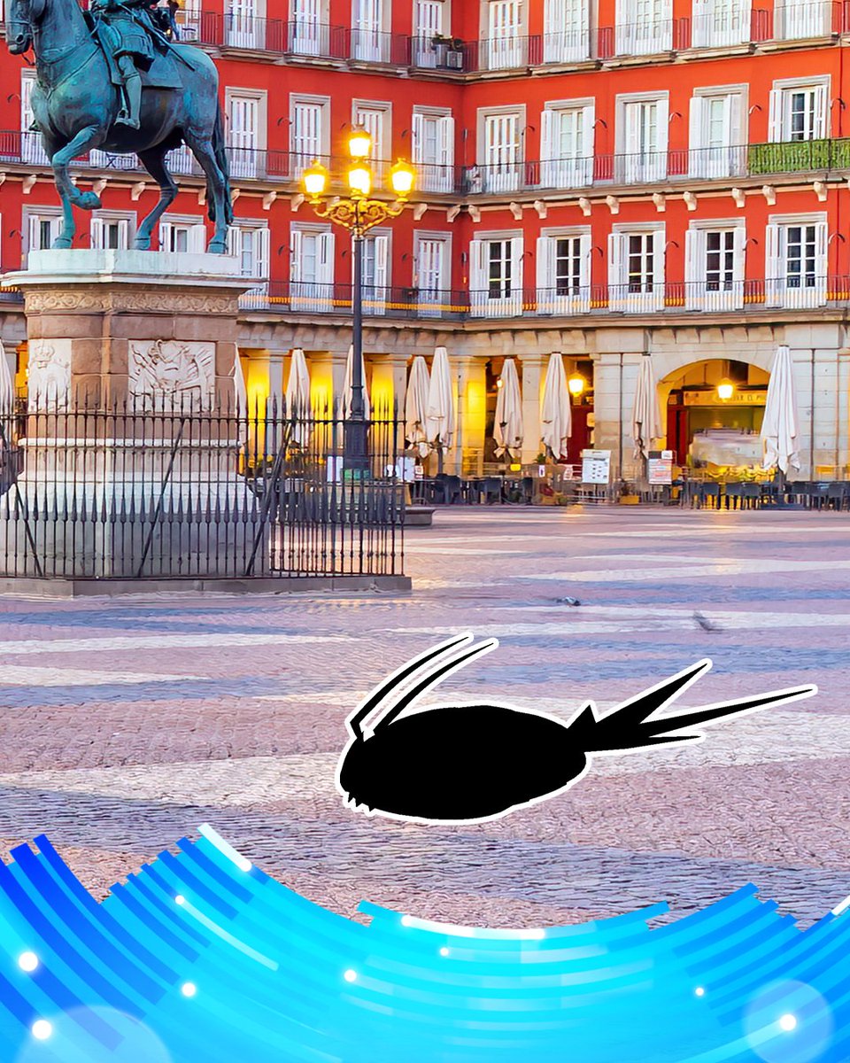 PokemonGOespana's tweet photo. ¡Entrenadores! Reto Pokémon activado 👀
¿Podéis adivinar cuáles son? ¡Queremos leer vuestras respuestas! https://t.co/rTptOiFKcC