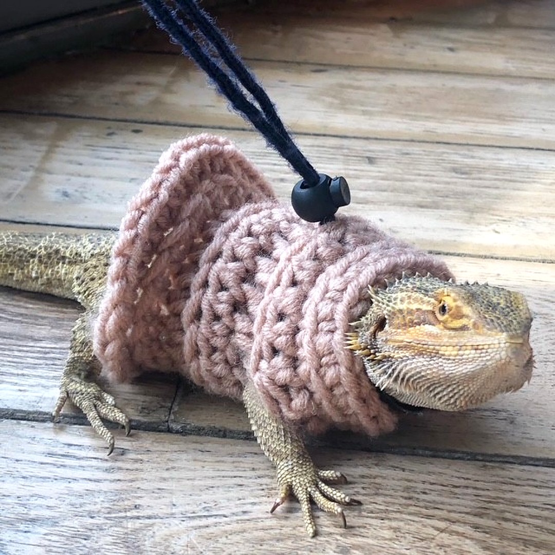 LionBrandYarn's tweet photo. Just a tiny lizard in a chunky knit sweater!! 💅🦎
📷 mila_and_d (IG) 
.
#crochet #crochetallday #crochetaddict #crochetlove #yarn #yarnlove #yarncrafts #handmade #diycrafts https://t.co/TxcNFYrAkY