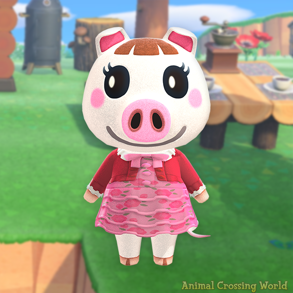 Animal Crossing World 🏝️ tweet media