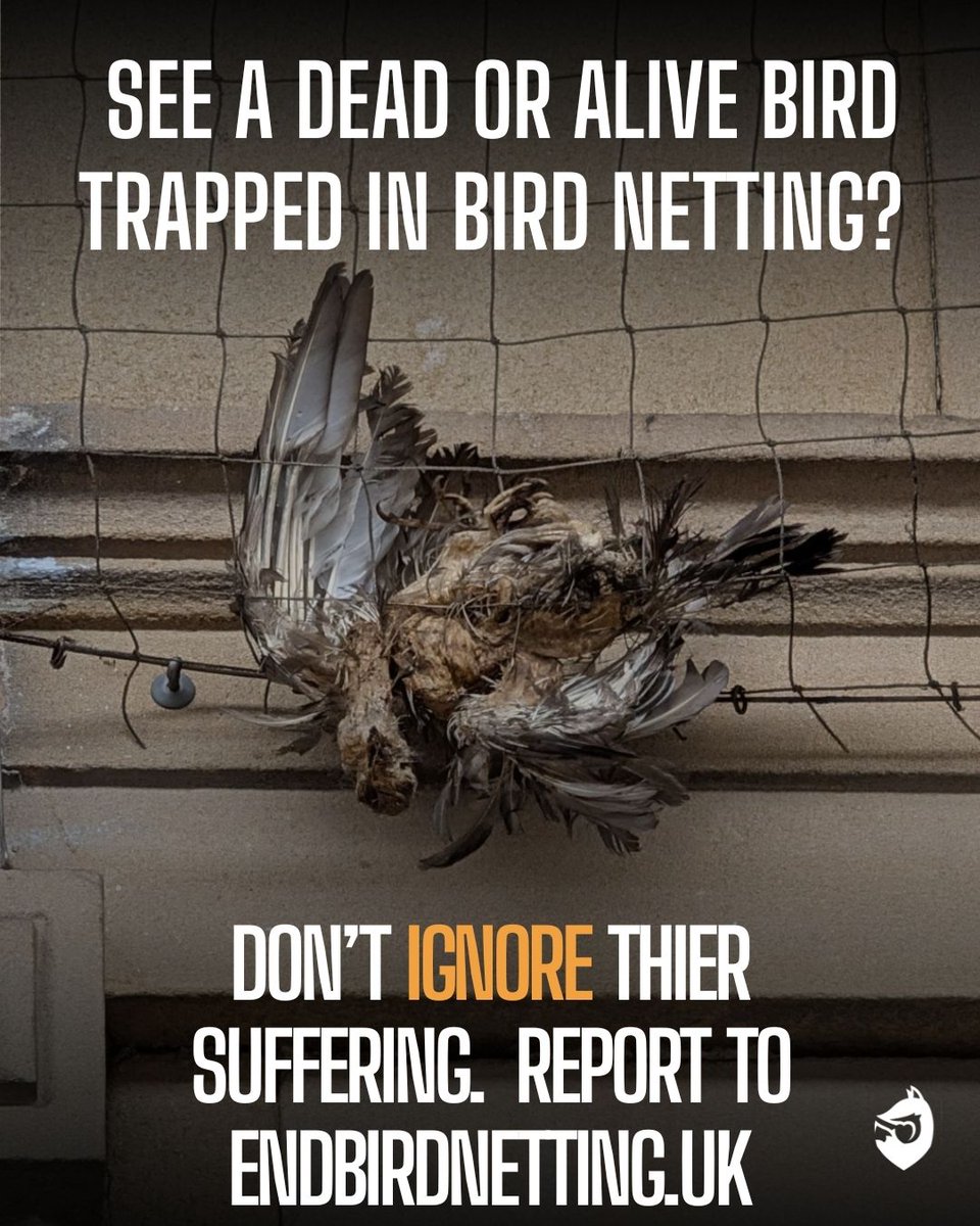 ProtectTheWild_'s tweet photo. You know what to do! ❤️ https://t.co/q0ccrN5q9T