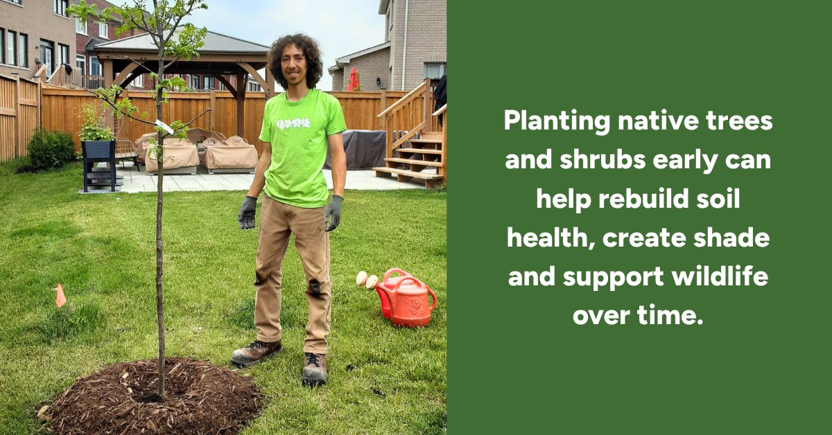 leaf's tweet photo. 🌱🌳 Newly built neighbourhoods often feel like a blank landscape of lawns and open backyards. Beneath that simplicity, key natural systems like soil, shade and habitat are still developing. https://t.co/6GyoeFKpTu