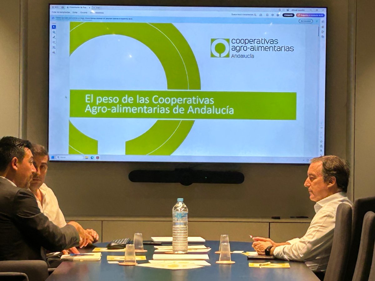 CoopsAgroAND's tweet photo. Reunión de trabajo entre #CoopsAgroAND y Gabriel Guggisber, jefe del Departamento Económico de la Embajada de #Chile en España 🇨🇱
➡️Lo reciben @JaimeMConradi, director general, y Santiago García Montagut, responsable del Departamento Jurídico y de Recursos Humanos.
➡️Le explican el peso de las cooperativas agroalimentarias y de Andalucía como potencia exportadora de alimentos de calidad y sostenibilidad 🔝🔝