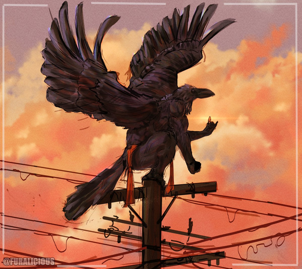 furalicious2's tweet photo. Birdie https://t.co/ZPRA6m978Y