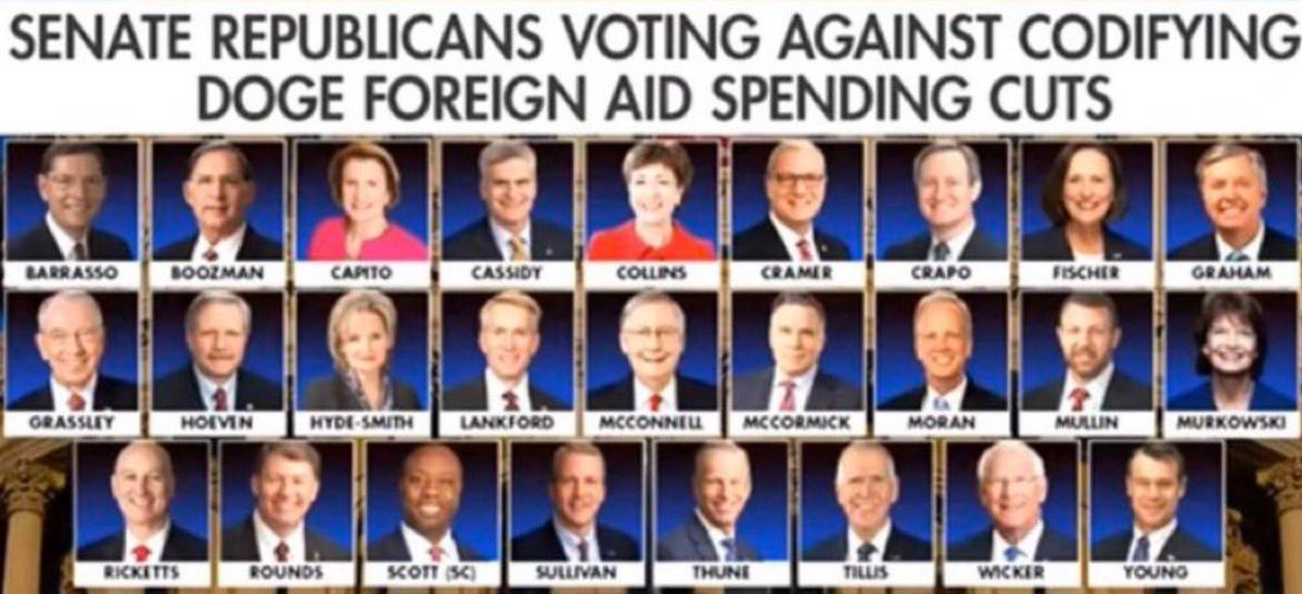 OnezimeM's tweet photo. Yes South Carolinians, please do your research, check the receipts, use your own brain and send the little war-mongering, RINO troll packing. Guy made multi-visits with Dems to Ukraine, and vote no to Elon’s DOGE cuts! Goodbye! https://t.co/IFmmsdZztN