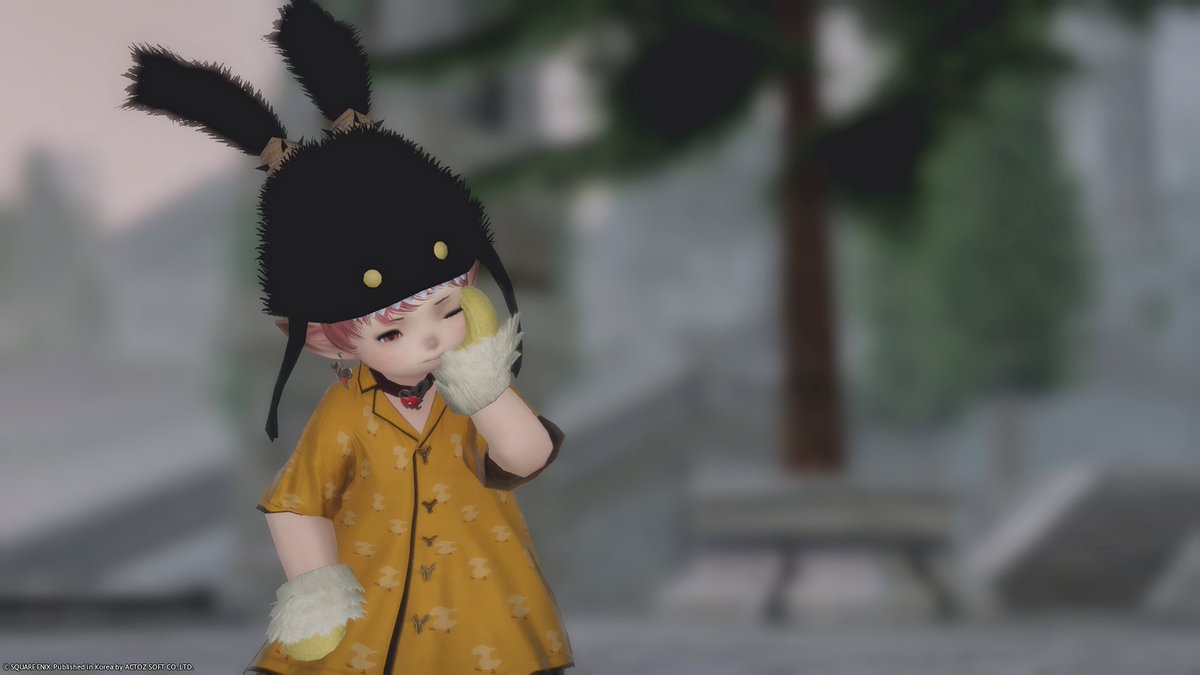neryus_FF14's tweet photo. 날아가기~~ https://t.co/znnIo4lWld