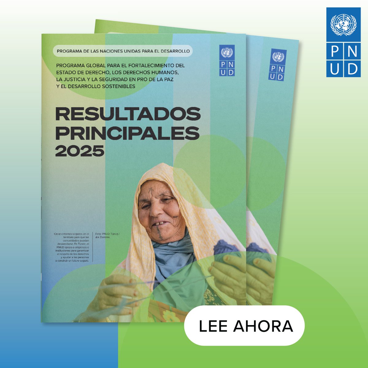 pnud's tweet photo. Junto con nuestros socios, impulsamos la justicia, protegemos derechos y fortalecemos la seguridad en más de 100 países y territorios.
Descarga ahora los resultados de 2025 a través de historias que van desde Colombia hasta el Yemen: https://t.co/e23sUiUQtm
#SecuringDevelopment https://t.co/HZ9avrd4Wk