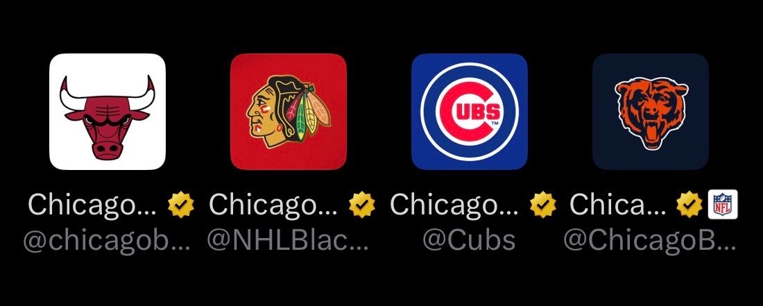 BearsMuse tweet media