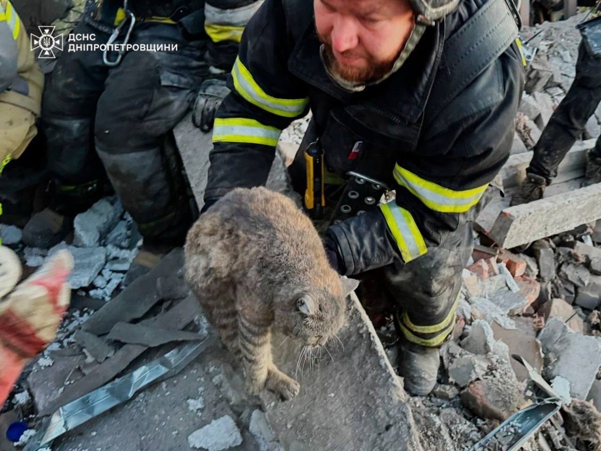 hadjalahbib's tweet photo. Another night of terror in Ukraine. Another reminder what Ukrainian families endure every single day.

Russia's massive attack last night killed at least 21 people, leaving around 120 people injured.

There must be accountability for these deaths under international law. https://t.co/DjBezmCaDW
