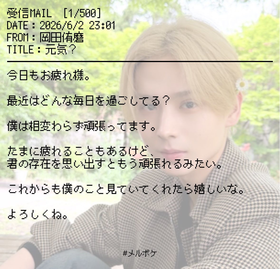 ﾁｬﾝﾇｩ tweet media