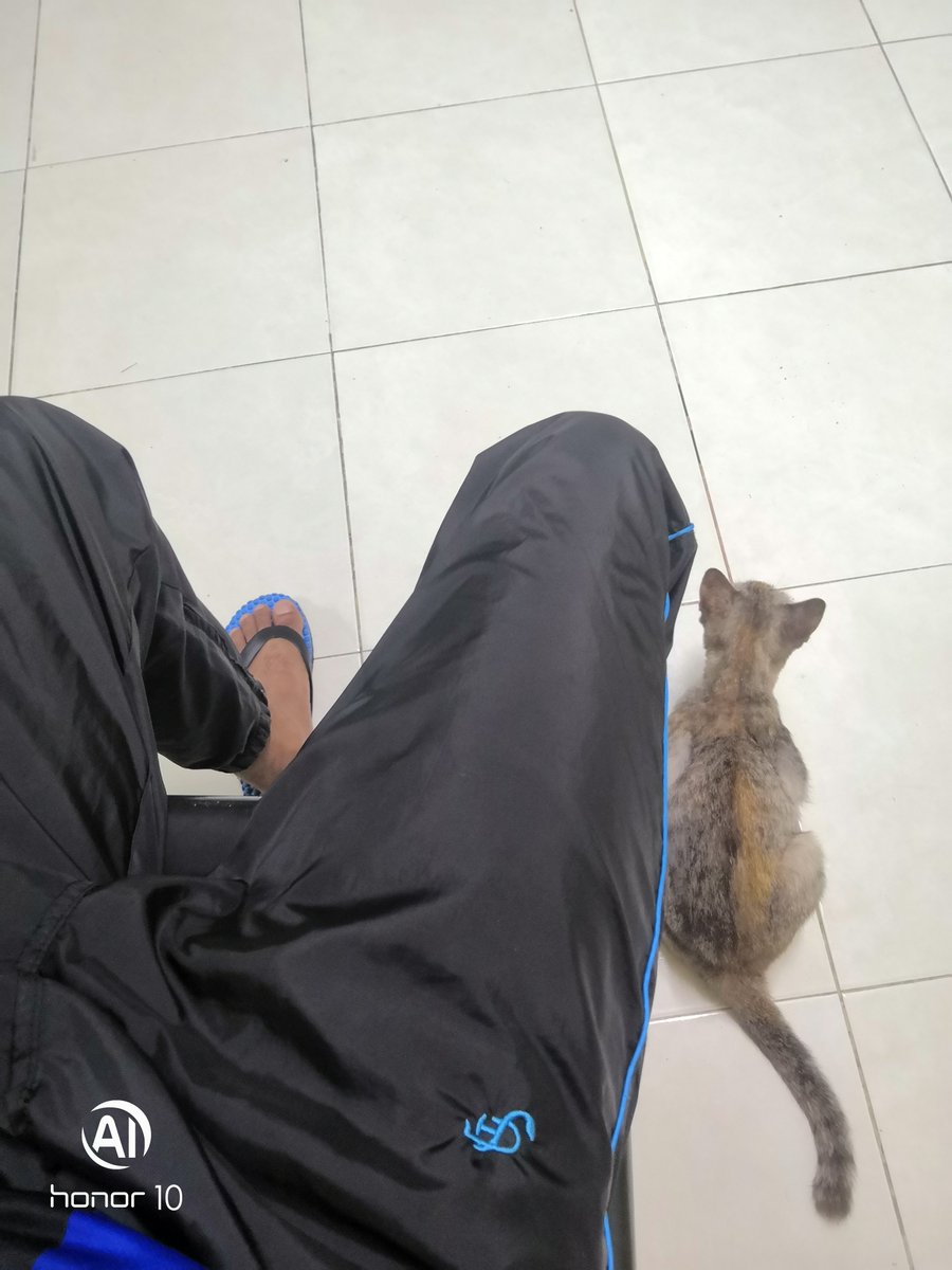Azim98Matt's tweet photo. Meowww..🐱 https://t.co/3c0DmaNuFd