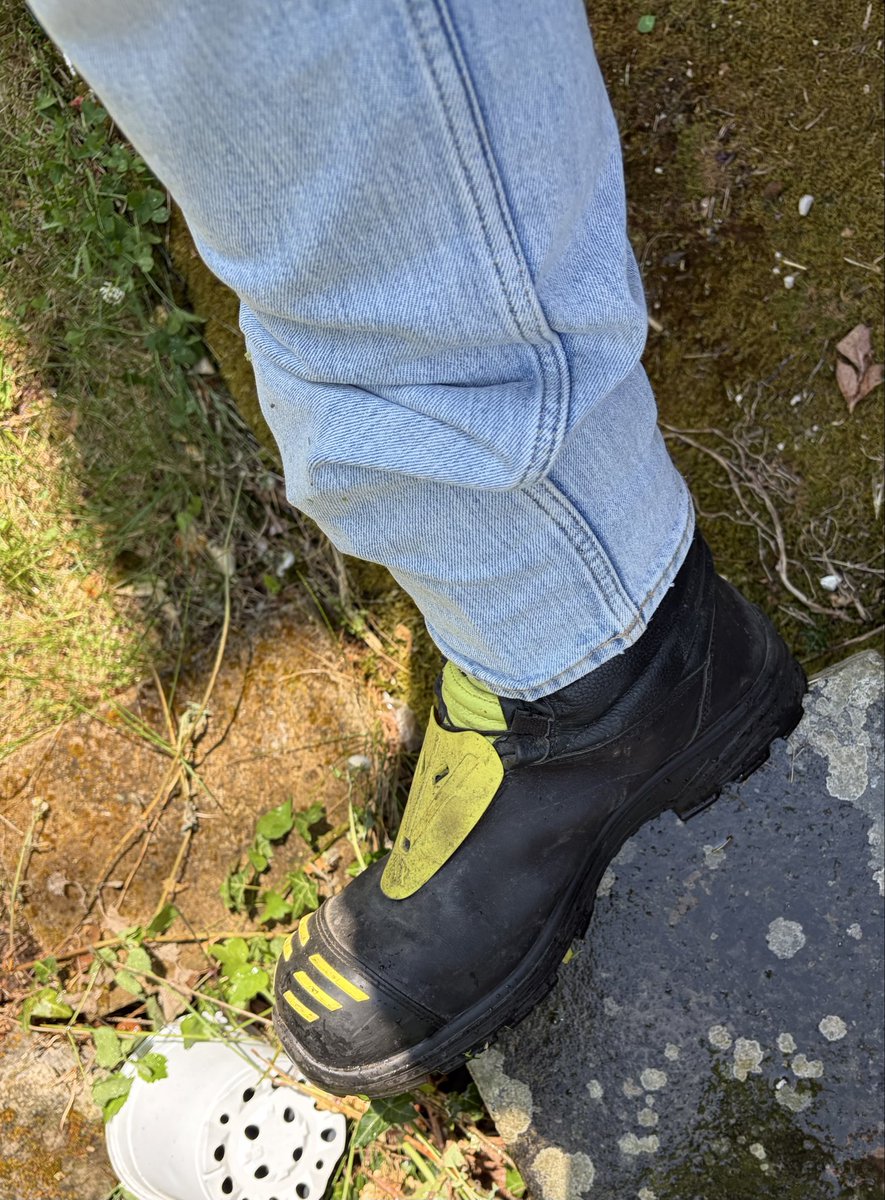 nikeactrm's tweet photo. Oggi giardinaggio … meglio con gli Haix https://t.co/II9WkD0z6V