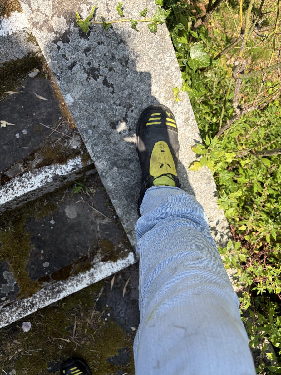 nikeactrm's tweet photo. Oggi giardinaggio … meglio con gli Haix https://t.co/II9WkD0z6V