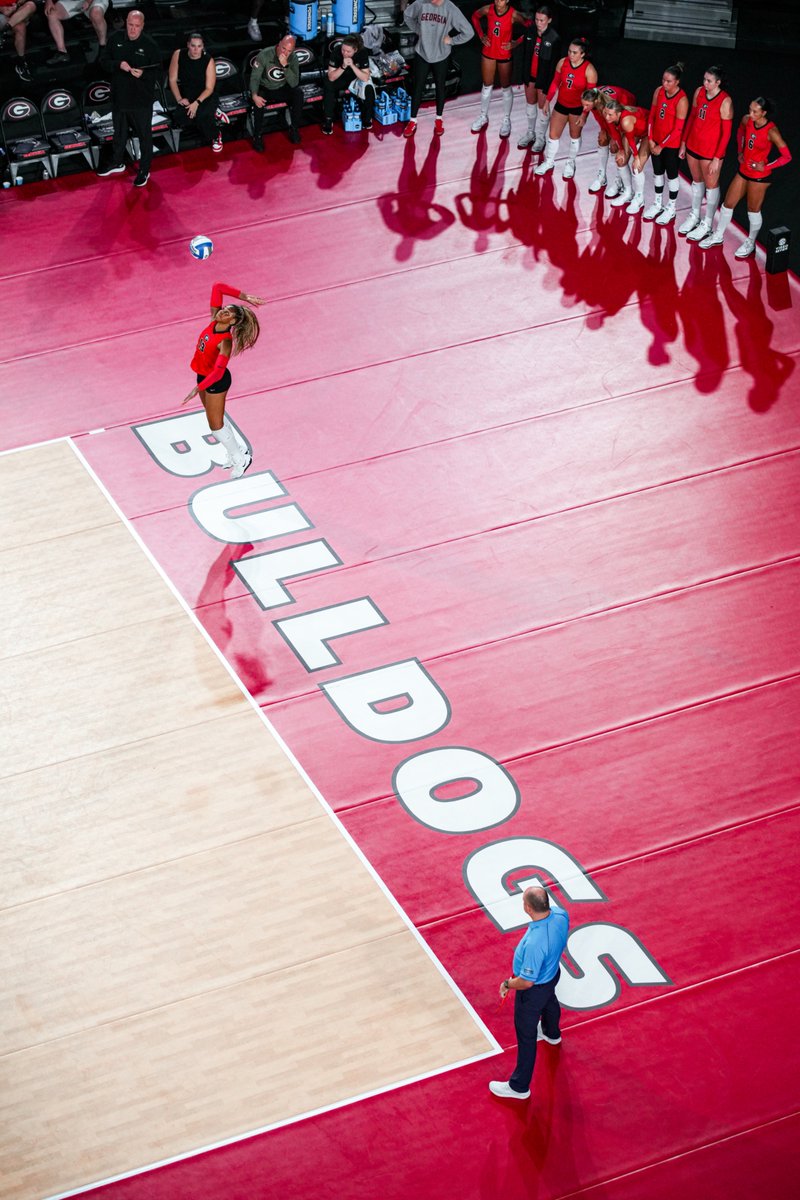 UGAVolleyball's tweet photo. 🐦 bird's eye view

#GROW | #GoDawgs https://t.co/JUAzDEQm9B