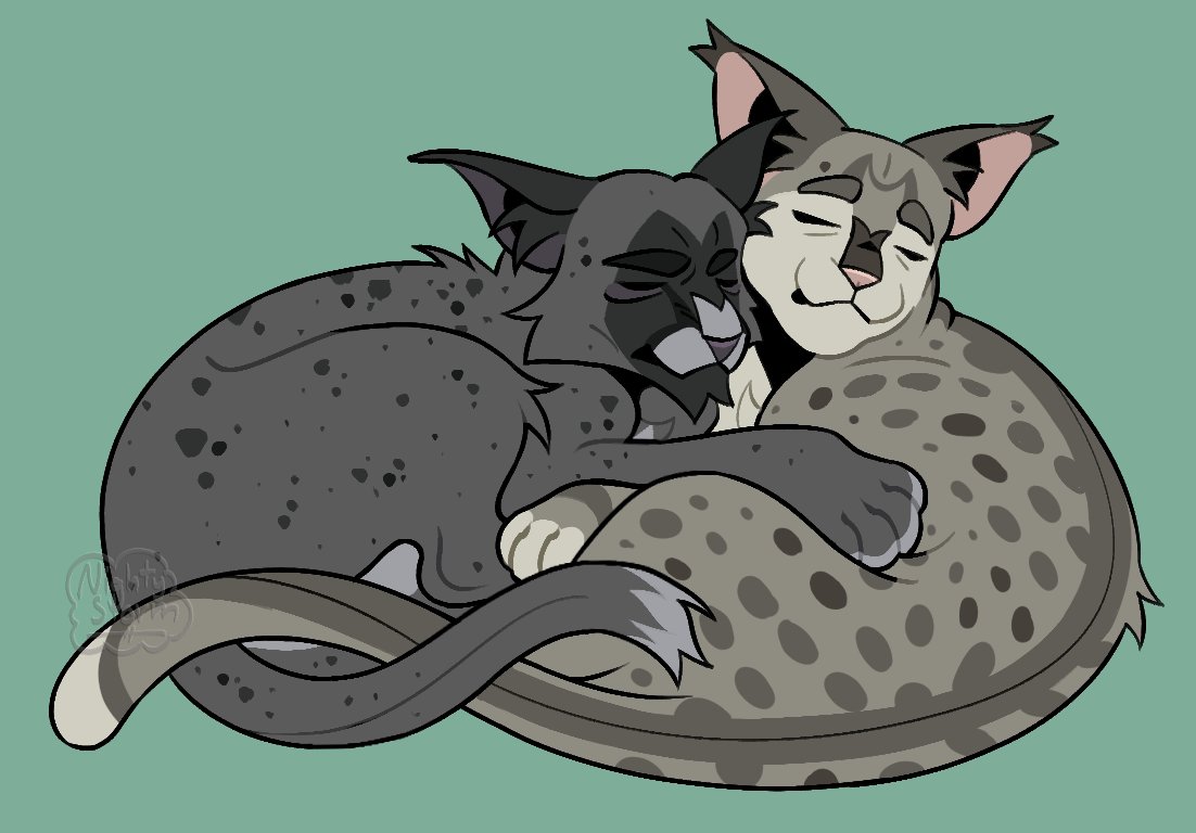 NightyStormArt's tweet photo. nother #warriorcats req! for #ashfur but i threw in #ferncloud too https://t.co/RqKvtdD7No