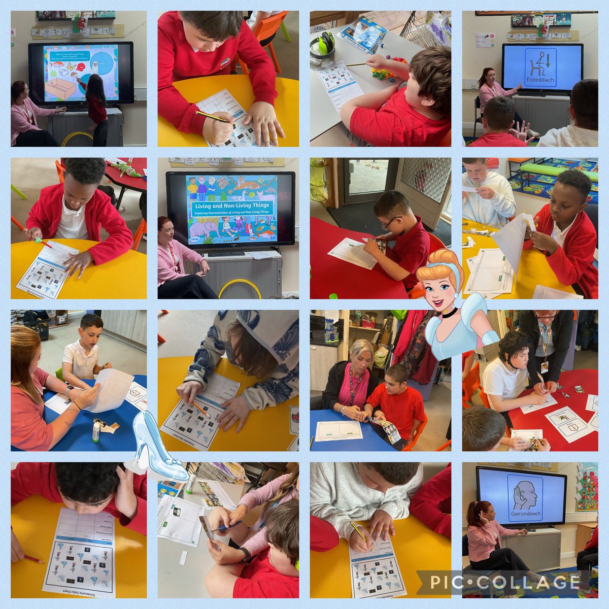 YsgolHenFelin's tweet photo. Today we followed instructions through the Welsh language🏴 We also completely some tally charts, then sorted living and non-living items🌳 Da iawn #class11 🌟 https://t.co/c0OTYEZWco