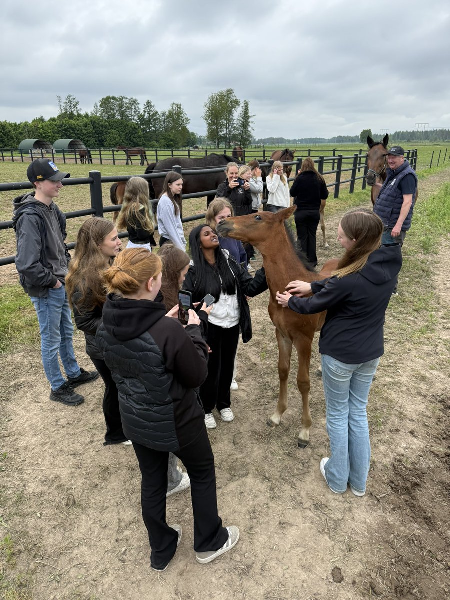 OhlzonM's tweet photo. Idag har vi haft studiebesök från Lillerudsgymnasiet 😃 Jättekul med intresserade ungdomar och vi hoppas att någon av dem blev lite sugen att prova på det här med stuteri 😃🐎 Tack för besöket!! #långerudsgård https://t.co/P2pwKqafhz