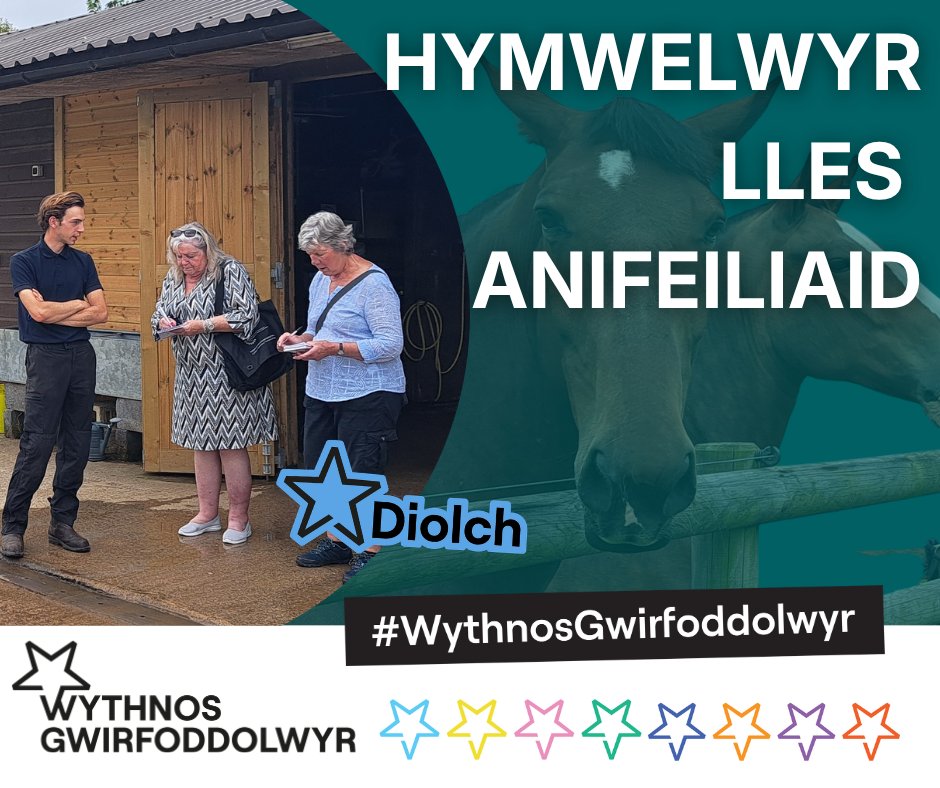 comisiynydddc's tweet photo. Y tu ôl i'r llenni, mae gwirfoddolwyr yn gwneud yn siŵr bod ein ceffylau a’n cŵn heddlu yn derbyn y gofal priodol maen nhw’n ei haeddu 🐾

Maen nhw’n gweithio’n annibynnol i wirio safonau lles mewn cytiau a stablau, gan sicrhau bod yr anifeiliaid hyn yn cael y gofal gorau posibl! https://t.co/5k6wpjP7AI