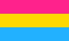 Stinkyypossum's tweet photo. Me vs My Flags 🌈🖤

Be gay and kiss each Munchers https://t.co/0Ssk4jVzy9