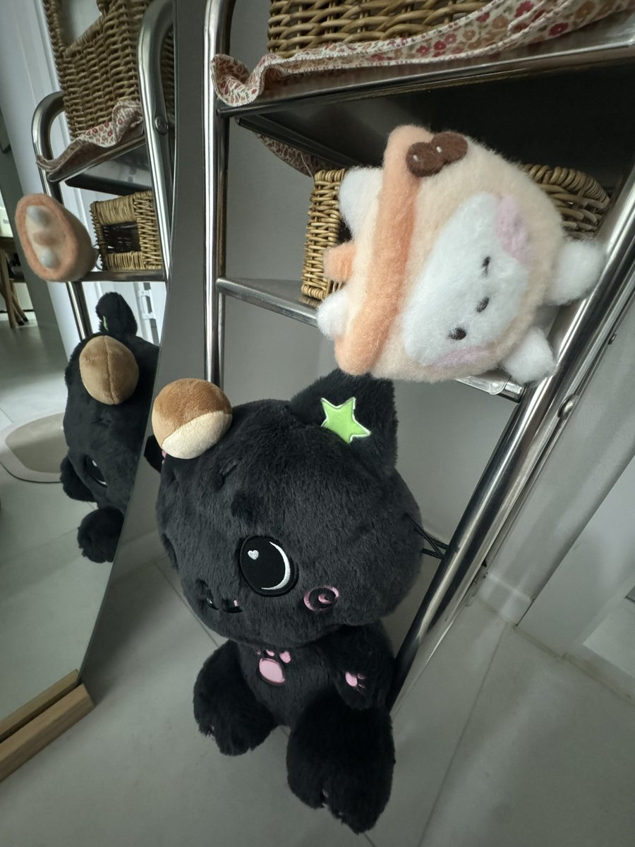 p0vrk's tweet photo. 마그넷순수체급으로ㅈㄴ귀여운데……?
아니미쳣어이거진짜귀엽습니다귀여워
귀여워!!!!귀여워♡귀여웡~귀여워! https://t.co/apDfHzl0Oo