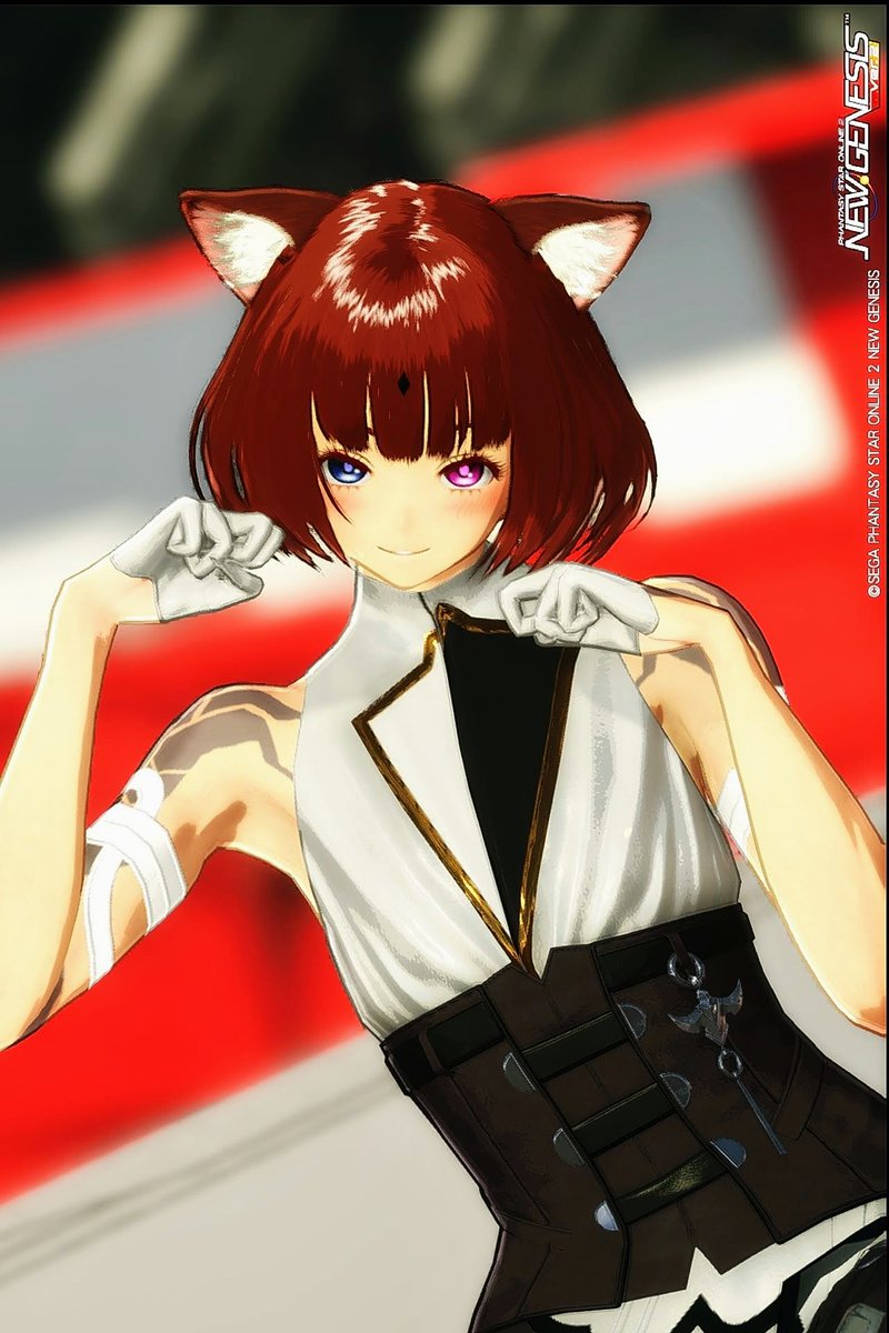 noblesse_t_pso2's tweet photo. #NGSスクショCP
#PSO2NGS_SS
猫耳ボブの少年 https://t.co/zN9CCnzpvg