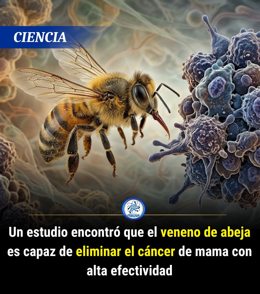 EnsedeCiencia's tweet photo. https://t.co/2kA5xvEp0W