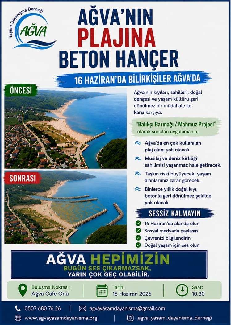 AgvaYasam's tweet photo. Ağva'nın plajına beton hançer !

#doğakatliamı #ağva #doğa #şile https://t.co/S8QoQI3nYJ