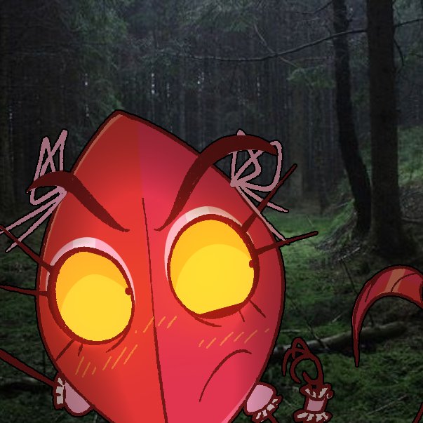 EVIL LEAFY(RED) tweet media