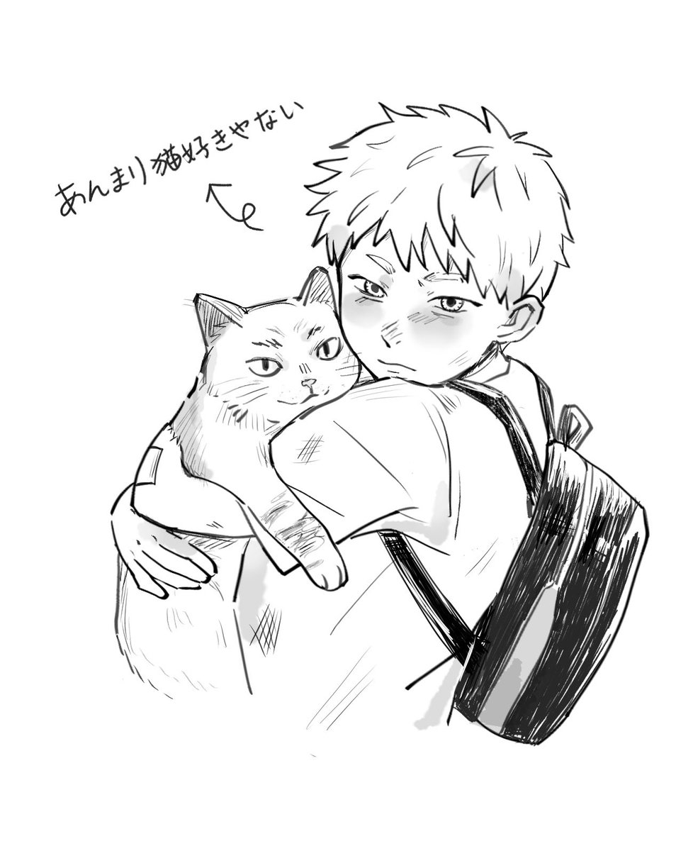 小菅 tweet media