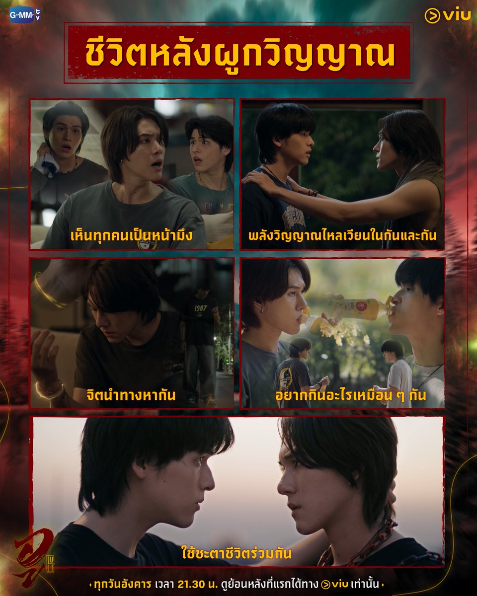 Viu Thailand tweet media