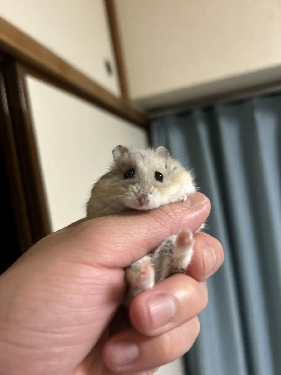 uddoonn's tweet photo. ﾓﾝﾁｬﾝ https://t.co/dPHdBa3U5y