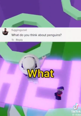 SmilingJacoob's tweet photo. @CoiIshot kills me everytime cuz who gaf about penguins https://t.co/KYO79vkwlA