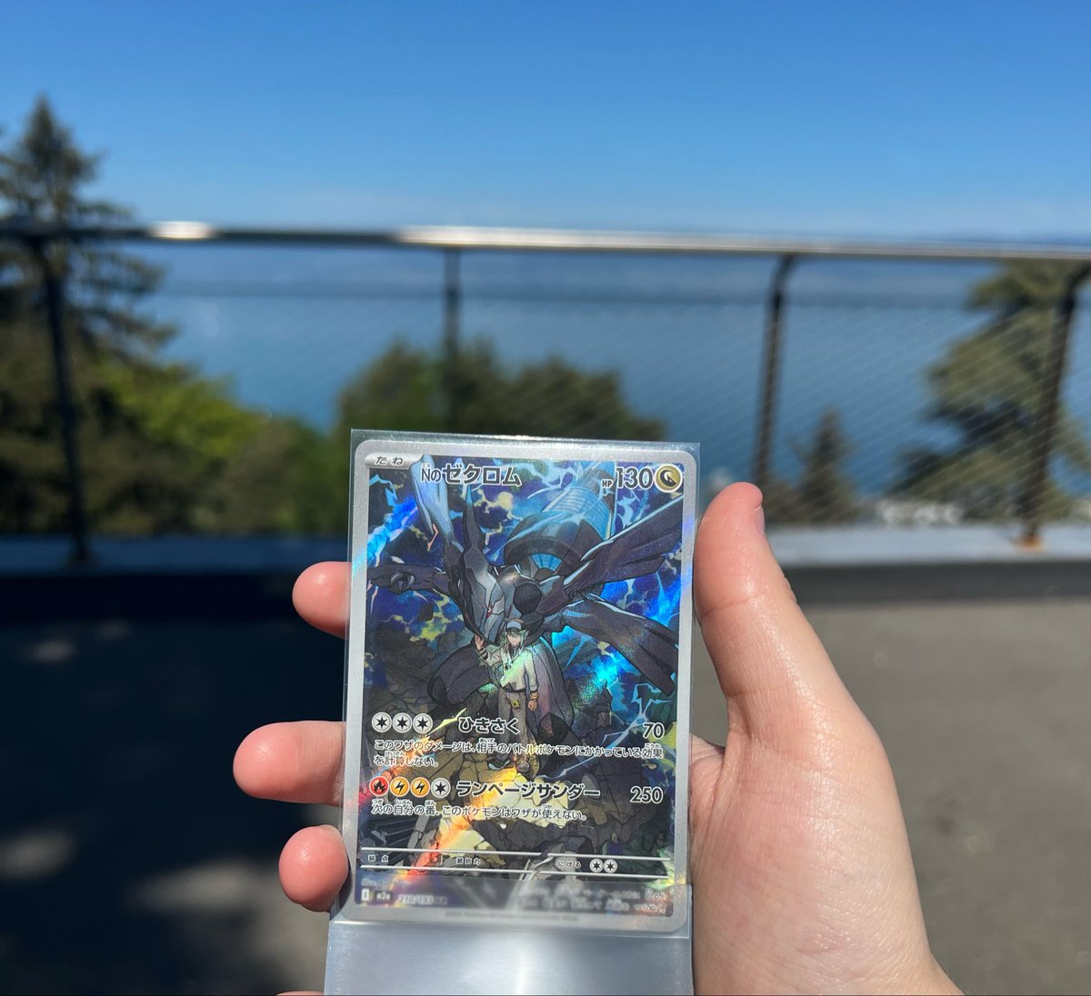 keiracsnn's tweet photo. dernière acquisition (zekrom et reshiram 10/10) https://t.co/DE6NZxm1Hv