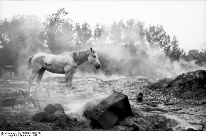 JGuybee's tweet photo. A lone horse wondering a recent battlefield, Poland, Sep 1939 https://t.co/KqEKs2rqfe