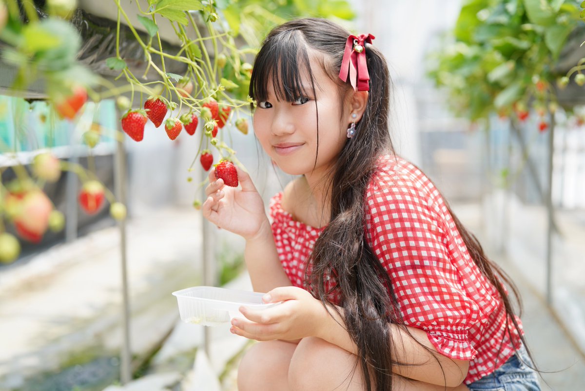 kamijugo's tweet photo. 2026.5.31. うみちゃん個撮
岡山市サウスヴィレッジ
おいしそうな、いちごを見つけたよ
#佐久菜うみ #美少女 #可愛いと思ったらいいね #ポートレート #ファインダー越しの私の世界 https://t.co/q9Ht0mrboJ