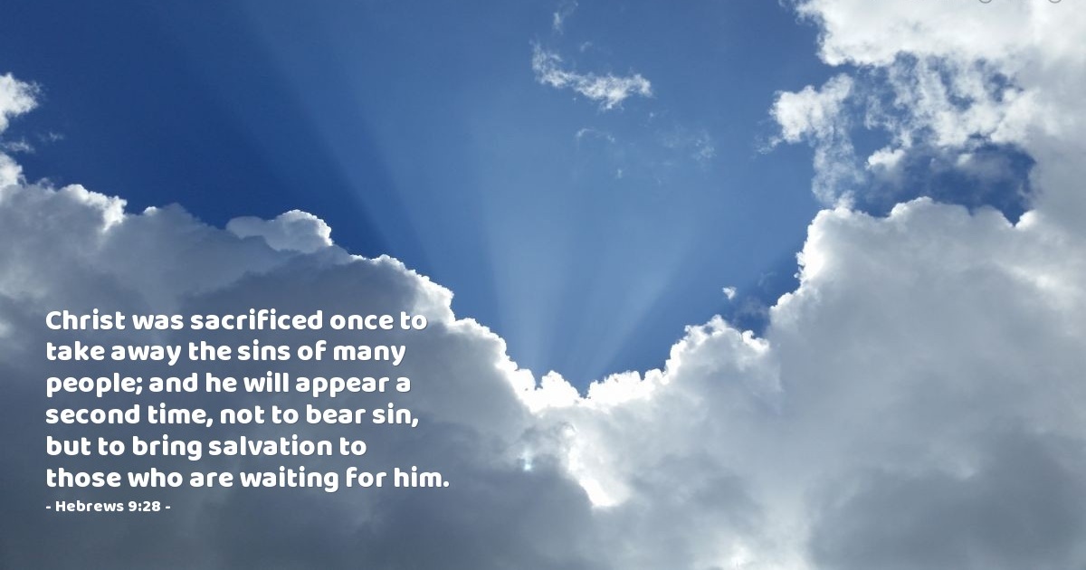 VerseOfTheDay's tweet photo. Verse of the Day - Hebrews 9:28 https://t.co/Afted7UgI9 https://t.co/JEGYqhfPzH