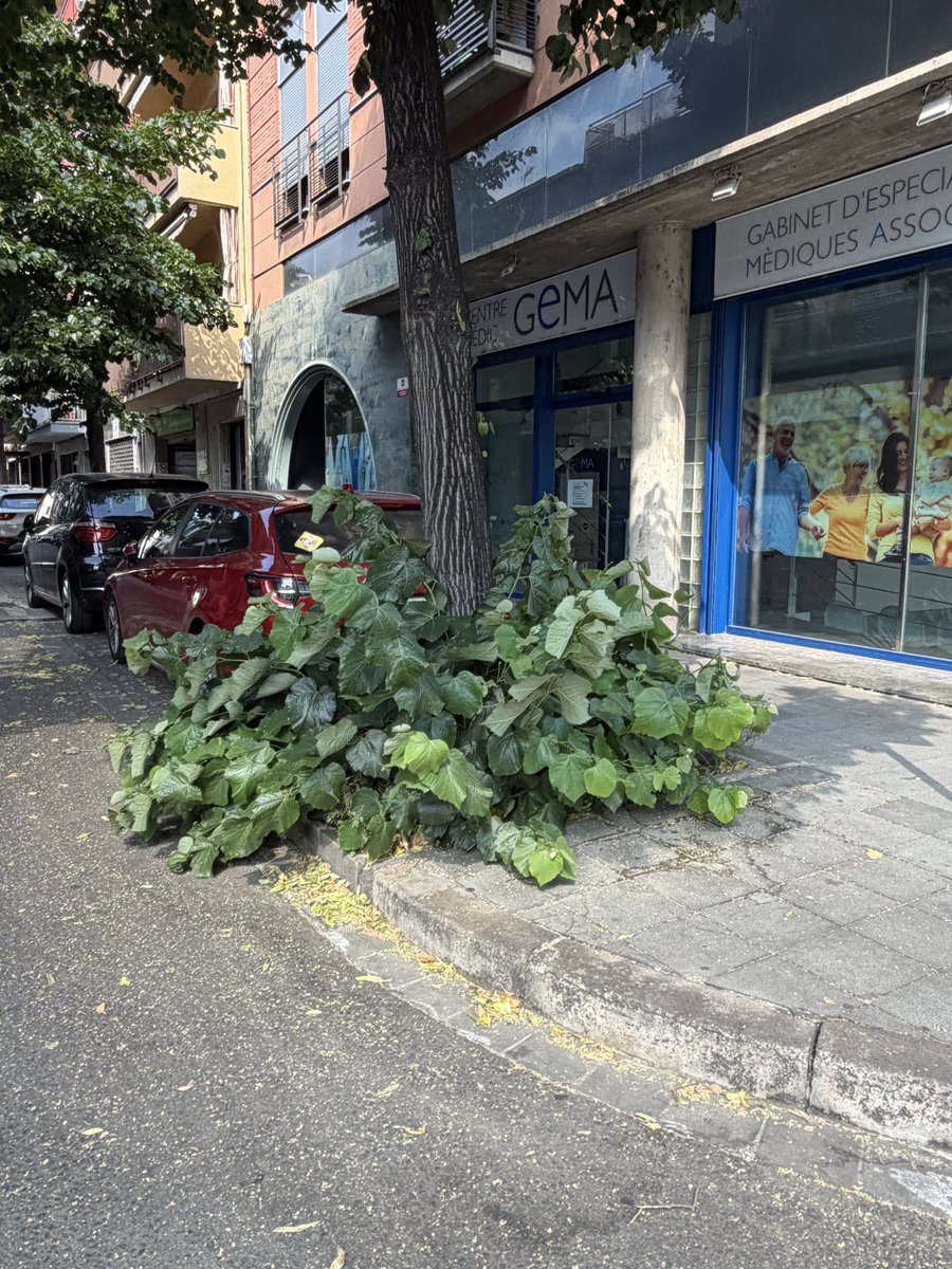 Gemmabm's tweet photo. Hola @granollers això és normal o vol dir que algú no fa la seva feina? No és a un carrer, és a molts. https://t.co/9wkJ08ESYe
