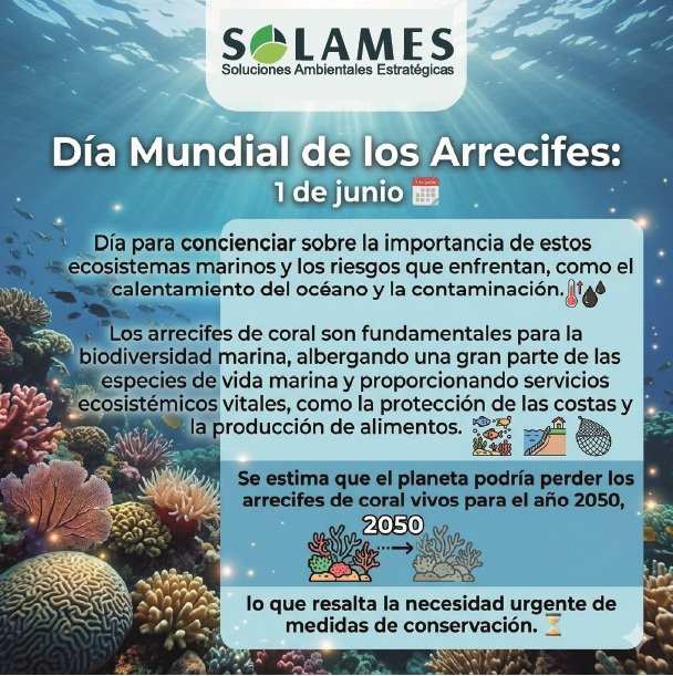 CoSolames's tweet photo. 🪸 El año 2050 es el límite. Si no actuamos de forma urgente contra el calentamiento del océano y la contaminación, el planeta perderá todos sus arrecifes de coral vivos.

#DíaMundialDeLosArrecifes #Sostenibilidad #MedioAmbiente #Biodiversidad #Solames #EcosistemasMarinos https://t.co/vJSbLRnYUi