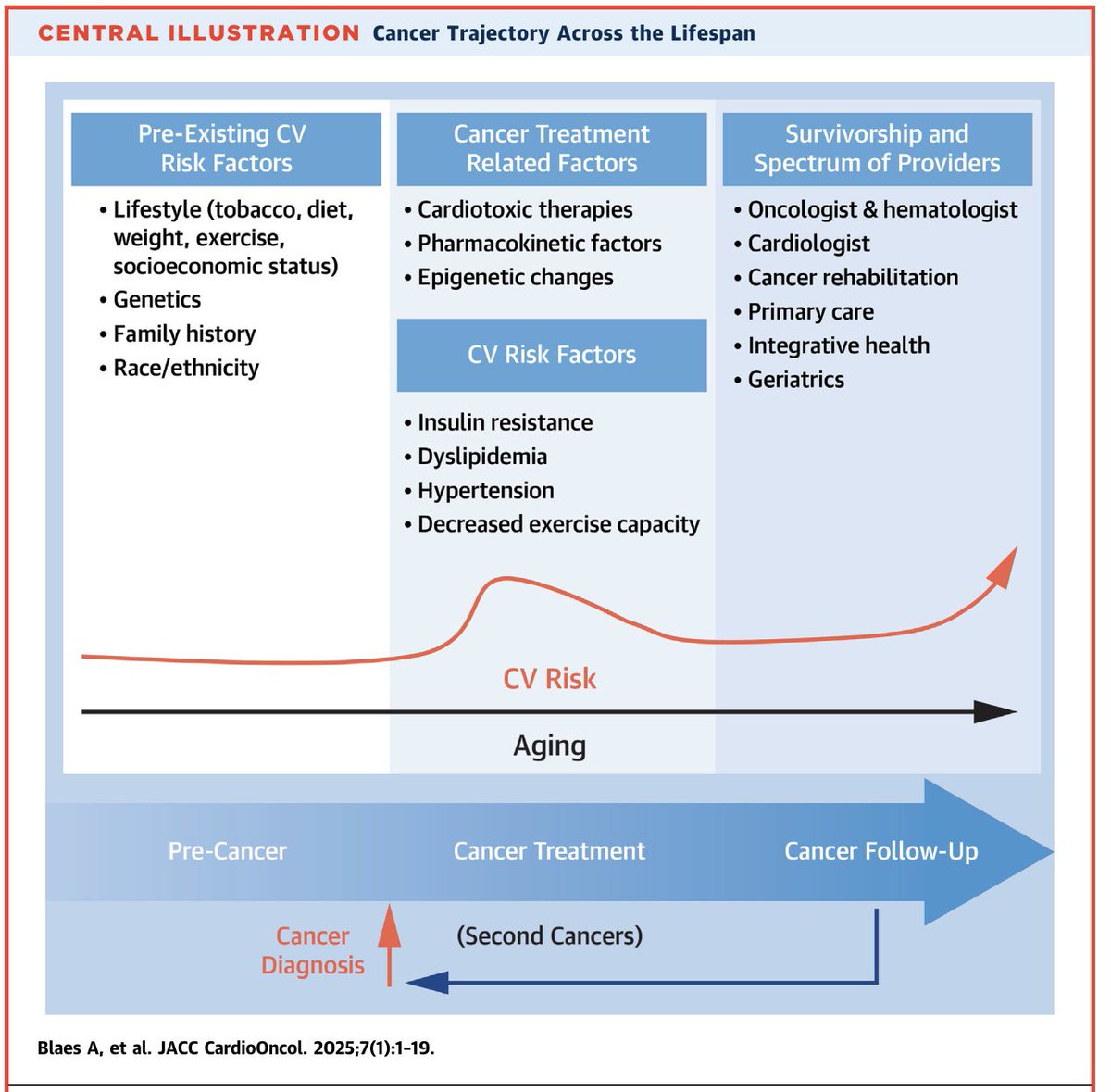 slumberbell's tweet photo. Cardiovascular considerations AFTER cancer therapy🫀

The final paper in a 3 part #JACCCardioOnc Expert Panel series exploring cardiovascular care before, during, & after cancer therapy

Cancer survivors remain at risk for future cardiovascular events throughout their lifespan.

Key contributors include:
🫀Pre-existing CV risk factors: Lifestyle, genetics, family history, race/ethnicity

🫀Cancer treatment-related factors:
📍Cardiotoxic therapies
📍Pharmacokinetic factors
📍Epigenetic changes

🫀Emerging CV risk factors
📍Insulin resistance
📍Dyslipidemia
📍Hypertension
📍Reduced exercise capacity

🫀Long-term survivorship requires a multidisciplinary approach involving oncologists, cardiologists, cancer rehabilitation, primary care physicians, & geriatrics.

Read more in @JACCJournals :
https://t.co/UZjR180Quh

#CardioOncology