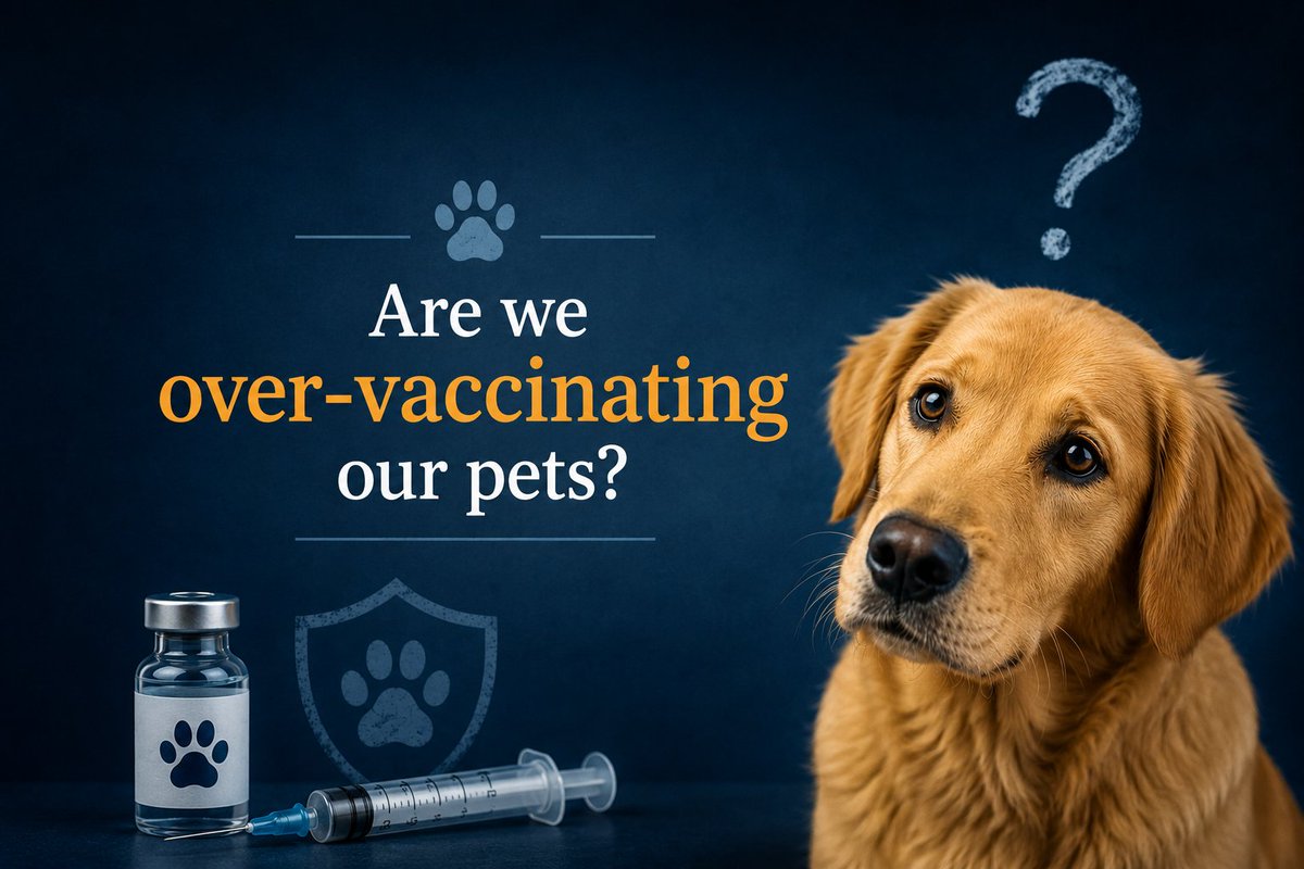 jonwillbanks's tweet photo. Are we over-vaccinating our pets?

40 years of immunology research says yes. But not in the way most pet parents think.

Here's what's actually going wrong, and how to fix it: https://t.co/lYGXA0l3vh
