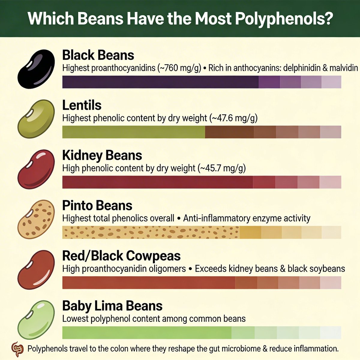 DrKristieLeong's tweet photo. 🚨 Not all beans are equal for longevity 🫘 

If you’re eating legumes for better health, polyphenols are the real game-changer. 

These compounds act as cellular signals that: 

• Reshape your gut microbiome
• Reduce inflammation
• Build metabolic resilience

The Polyphenol Hierarchy:

🥇 Black Beans — Loaded with anthocyanins (same powerful pigment as blueberries) 

🥈 Lentils & Kidney Beans — High phenolic density for glucose control & metabolic defense 

🥉 Baby Lima Beans — Great fiber, but lowest polyphenol firepower 

Pro‑Tip: 

Polyphenols reach your colon intact and feed the beneficial bacteria that protect metabolic health. 

Which bean is your kitchen staple? 

#MetabolicHealth 
#Longevity 
#GutHealth