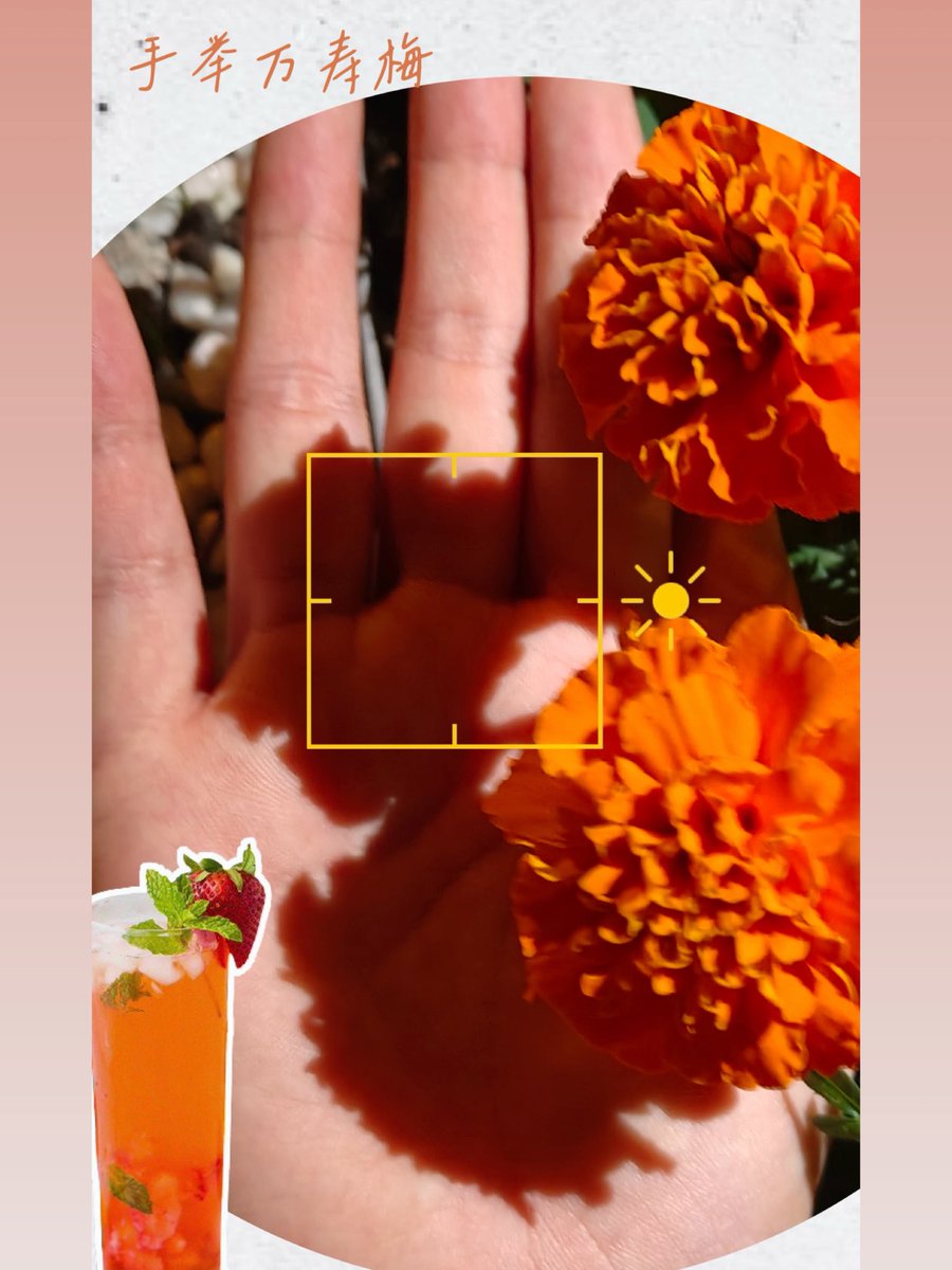 Tongji_Uni's tweet photo. Light filters through Tongji’s leaves🌳🍃
and shadows fall into my palm.
It's a quiet dance with nature. Come and try this new way to capture plant shadows!
Photograph: Lei Xuan, Cao Tianyin
Design: Li Haixin
Copy: Zhu Mengying, Huang Jing
#SeeTongji #Nature #LightAndShadow https://t.co/gRObC416aR